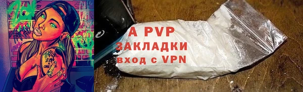 стаф Алексин