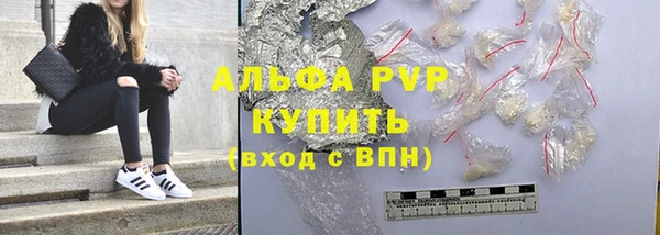 стаф Алексин