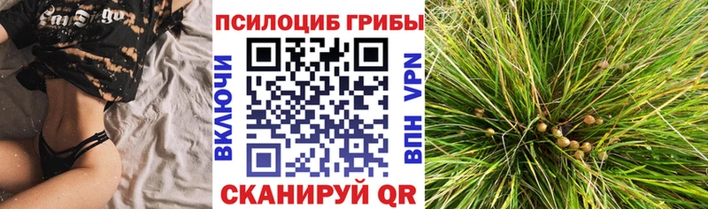 Псилоцибиновые грибы GOLDEN TEACHER  Мамоново 